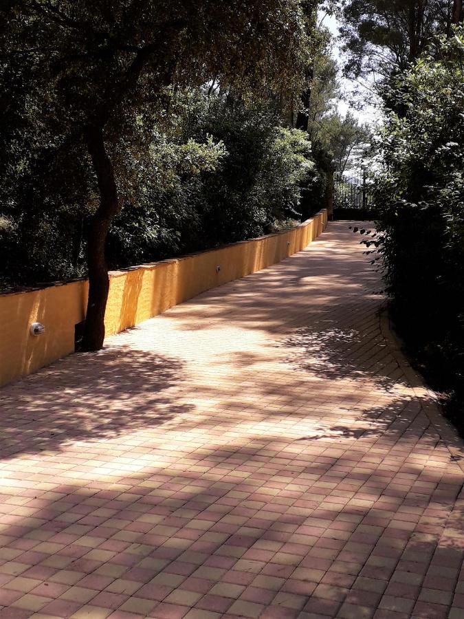 Les Restanques - Chambre D'Hotes Cuges-les-Pins Exterior foto